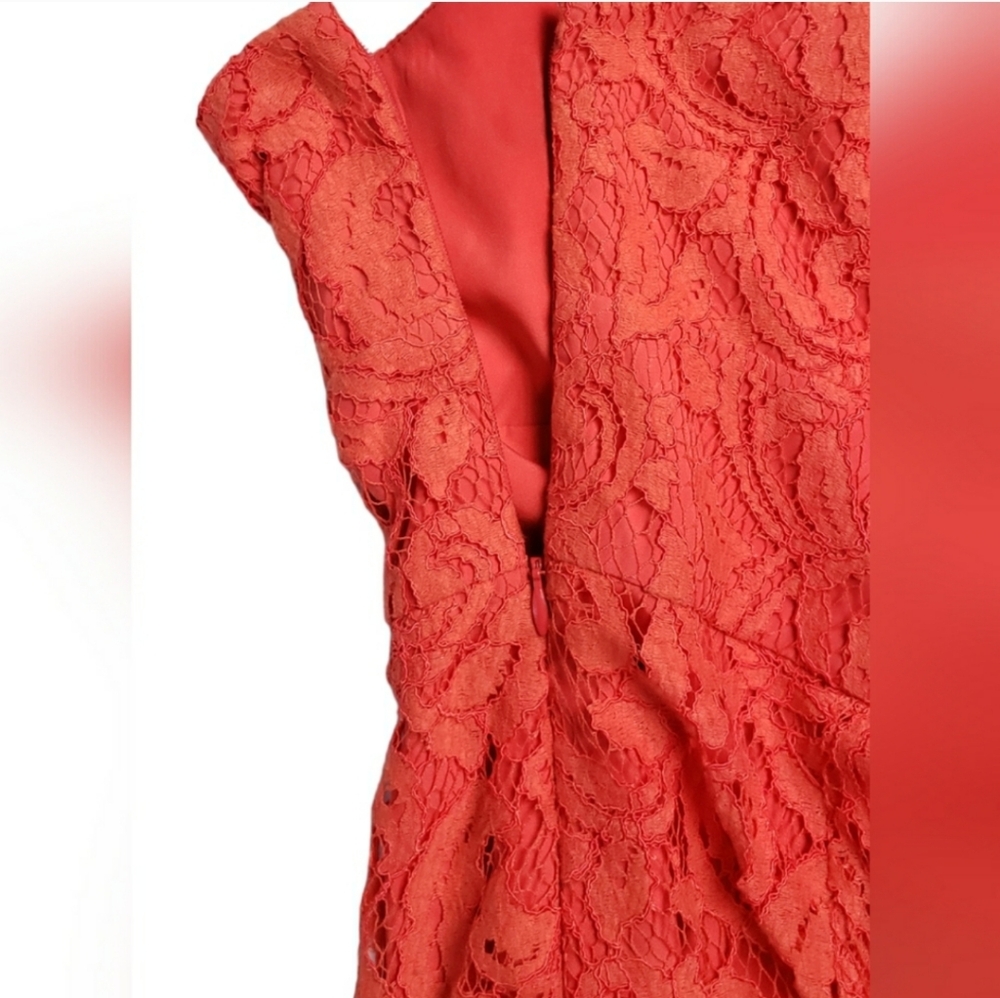 COPY - NWT J. Crew Alexa Dress in Leavers Lace - Picture 7 of 13